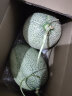 雅聪新疆吐鲁番哈密瓜西州密瓜网纹甜瓜应季生鲜水果 3-4个【9-11斤】 实拍图