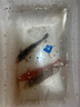 【包活包损】锦鲤活鱼观赏鱼活体好养耐活冷水淡水鱼日系锦鲤金鱼 3条红色火鲤 8--10cm 实拍图