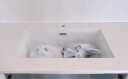 铂浪高（BLANCO） SUBLINE 700-U花岗岩水槽石英石台下大单槽单槽厨房水 白色 单槽 晒单实拍图
