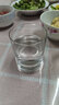 肖特圣维莎（SCHOTT ZWIESEL） 原装进口水晶玻璃啤酒杯饮料水杯牛奶杯绿茶杯威士忌杯洋酒杯 肖特直身平底单只矮款150ml 实拍图