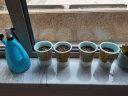 尚洋DIY儿童种植盆栽套装太阳花种子学生植物观察杯幼儿园迷你小盆栽 晒单实拍图