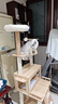 唐米吉吉【豪华升级】猫爬架猫窝猫树玩睡一体猫架猫抓柱家用不占地太空舱 【185cm 8层跳台】挑战猫咪极限 实拍图