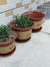 青意萱青意宣 落地紫砂陶瓷花盆红砂紫砂花盆 客厅花卉绿植粗砂花盆 口径19cm+22cm+25cm 按口径发货 实拍图