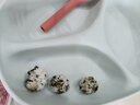 魔幻厨房 宝宝饭团模具工具diy动物卡通辅食模具寿司工具卡通米饭模具套装 【兔子＋海豚+花花】趣味饭团模具 实拍图