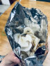 福东海  海底椰片100克 新鲜海底椰干浓香广东煲汤汤料煮糖水炖汤食材 雪梨膏材料 实拍图