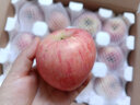 京鲜生 山东烟台红富士苹果 净重5斤 果径75mm+ 新鲜水果 源头直发 晒单实拍图
