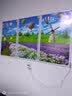 暖狮 石墨烯墙暖壁画取暖器家用节能省电电暖画节能电暖器电暖气电墙暖壁挂式电热板取暖画 白板 1片500W（供暖5-6平米） 实拍图