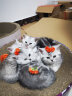 ROYAL CANIN 皇家猫粮  全价粮 营养猫粮 怀孕母猫小猫 1-4月龄 BK34猫奶糕 10kg 实拍图