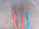 远东电缆 BV2.5开关插座国标家装铜芯电线单芯单股硬线 100米 蓝色零线 实拍图