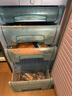 香雪海 立式冰柜家用小冰柜单温小冷柜冷冻迷你商用 小型节能省电储母乳冷柜冰箱 【全冷冻 天际灰 】立式冷冻柜 85L 实拍图