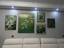 同城师傅挂画安装 挂画挂钟婚纱照油画摆件置物板洞洞板固定上墙 实拍图