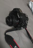 佳能/Canon 60D 70D 80D 77D 90D 二手单反相机 半画幅中端级数码相机 80D+50/1.8 STM小痰盂 套机 准新 实拍图