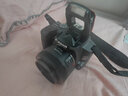 佳能（Canon） EOS 200D二代 200d2单反相机 入门级Vlog数码照相机200DII代 EF-S 18-55+EF50f1.8套机黑色 官方标配（不含内存卡 建议购买套餐 ） 实拍图