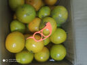 吉果叔 正宗广西茂谷柑 应当季新鲜水果薄皮脏脏柑橘石灰柑橘子整箱 净重4.5-5斤 【中果】果径60-65mm 实拍图