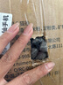 辉鹏猫鼻支雾化药猫咪杯状狗感冒肺炎喷嚏咳嗽窝咳宠物雾化液治疗套餐 推荐压缩式雾化器 1支*1盒 宠物雾化药 实拍图