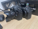 佳能（Canon）EOS R6 Mark II 新标准全画幅微单数码相机R6二代 单机身 （约40张每秒连拍/6K超采样4K短片） 晒单实拍图