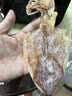 万港鱿鱼干货500g烧烤北海淡干烧烤手撕芥末干鱿鱼中秋节送礼礼品团购 A3鱿鱼干 500g * 1袋 约30条 实拍图