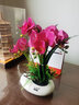 wo+ 高档新款手感PU蝴蝶兰仿真花艺客厅餐桌花电视柜装饰花假花 白色扁陶瓷盆+紫红色蝴蝶兰 实拍图