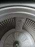 卓月适用于海尔洗衣机过滤网袋XQS85-BZ15288U1 S85188Z61配件8.5KG XQS85-BZ15288U1(36格) 晒单实拍图