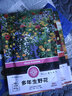 花沃里三色堇花种子约700粒 花卉种子四季草籽家庭盆栽土阳台庭院种植 实拍图