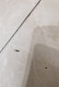 山甲牌白蚁药传染全巢杀虫粉大面积装修预防白蚁防治专用药水剂灭白蚂蚁 实拍图