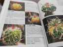 700种多肉植物原色图鉴 （第二版） 实拍图