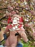 G.duck品牌童装帽婴儿衣服春秋款新生儿连体衣男女宝宝秋装满月哈衣爬服 粉红色 80cm 实拍图