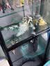 品翔手办展示柜礼品玩具货架防尘家用玻璃陈列柜乐高动漫模型 60*35*180【含钢化玻璃不含灯】 实拍图