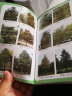 160种园林绿化苗木的繁育技术(第2版)（经典、实用、有彩插） 实拍图