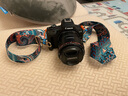 佳能（Canon）EOS系列 单机身 二手单反微单相机 高清照相机 半画幅 R50 机身 颜色样式规格可参考质检报告 实拍图