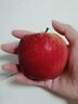嗯嗯乐新西兰试管火箭小苹果Rockit Apple新鲜进口苹果水果 1筒350g尝鲜装 实拍图