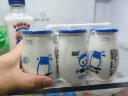 来思尔云南大理小酸奶180g*12瓶整箱牛奶乳品网红多口味可选营养早餐奶 冰淇淋香草味12瓶 实拍图