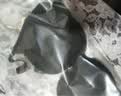 Glambody MAGIC NATURAL LINEGlambody欧美U型文胸聚拢性感无痕露背婚纱礼服美背内衣W1701 黑色 75B 实拍图