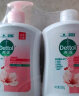 滴露（Dettol）健康抑菌洗手液滋润500g+500g瓶补充装液替换 儿童洗手消毒家庭装 实拍图