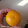 赣南脐橙 江西地区特产手剥橙 当季新鲜橙子水果 纽荷尔脐橙橙子 农夫山泉17.5°橙钻石果3kg纸箱装 实拍图