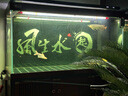 靓相和NEC龙鱼灯鱼缸发色增艳观赏烤色灯管6700K金红龙专用神灯马印防水 白光-6700k/128cm/红外观/整根/T8 实拍图