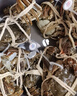 【活蟹】湖鲜阳澄 大闸蟹 去绳足重 3.7-4.0两 10只 鲜活六月黄现货超大螃蟹海鲜礼盒装 实拍图