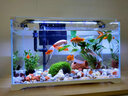 森森（SUNSUN） 鱼缸水族箱生态超白玻璃缸桌面水草缸客厅造景金鱼缸 【超白缸】506*256*310mm 实拍图
