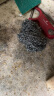 妙洁 钢丝球刷子家用厨房易清洁钢丝刷强力去垢去油污 共15只 实拍图