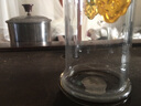 绿简堂玻璃杯红茶泡茶器双耳杯过滤玻璃茶具简易茶壶普洱功夫冲茶器 彩色耳双耳杯 晒单实拍图