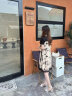 卡吉蘭娜短袖连衣裙女夏季女装韩版遮肚显瘦气质小个子拼接网纱刺绣裙子 图片色 M（105-115斤） 实拍图