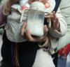 bebebus彩虹学饮杯吸嘴杯宝宝吸管杯婴儿6个月以上喝水奶瓶杯 270 ml 晒单实拍图