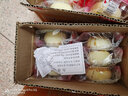 泓一苏式月饼蛋黄酥手提礼盒传统糕点心送礼品企业团购零食精品伴手礼 雪媚娘蛋黄酥720g 实拍图