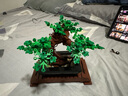 乐高（LEGO）积木拼装玩具 创意百变系列 10281盆景 18岁+ 六一儿童节礼物 实拍图