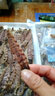 鲜木皮皮虾干 田横岛特产虾虎肉 即食虾类零食 爬虾干/虾姑干250g鲜木 实拍图