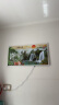 欣艾迪 石墨烯碳晶墙暖壁画家用碳纤维电暖器静音电热板节能省电取暖器壁挂式电暖气片 800w-10 晒单实拍图
