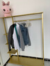 好铁匠 铁艺衣帽架挂衣架落地卧室立式衣服架子现代简约鞋架包包架置物 带顶板长120cm-金色 实拍图