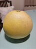 裕琼浙江玉环文旦柚老树柚子当季新鲜水果礼盒台州楚门红柚白心密柚 5斤尝鲜精品果 约2个装 实拍图