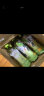 康师傅 绿茶 蜂蜜茉莉味低糖饮品 饮料整箱装 500ml*15瓶 实拍图