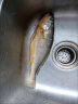 黄小渔三去黄花鱼1.75kg/5条宁德大黄鱼生鲜水产深海鱼类源头直发 晒单实拍图
